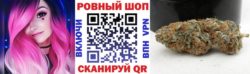 Какие есть наркотики Заводоуковск СК  Бошки Шишки  Cocaine  Мефедрон  гидра зеркало  Гашиш 